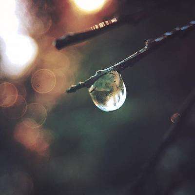 台湾福星彩手机app下载